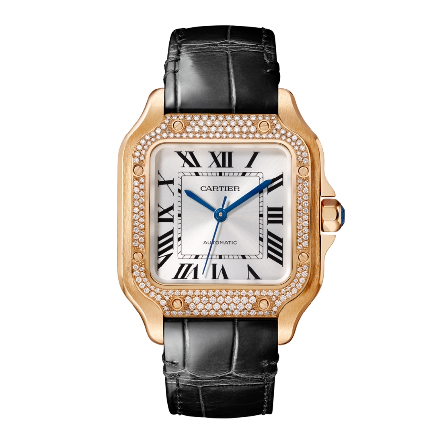 Đồng hồ Cartier Santos De Cartier 35.1mm CRWJSA0012