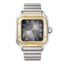 Cartier Santos De Cartier Gray Large W2SA0030