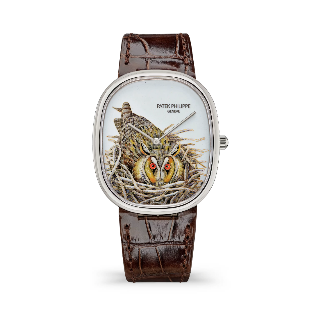 Đồng Hồ Patek Philippe Rare Handcrafts 5738/50G Brown Owl 5738-50G-049