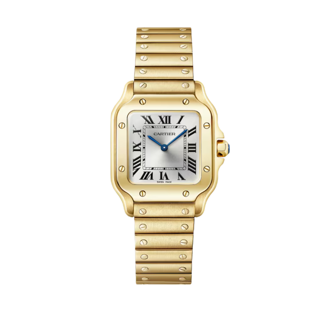 Đồng Hồ Cartier Santos de Cartier Silver 27mm WGSA0107