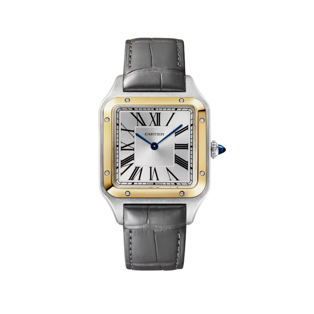Đồng Hồ Cartier Santos-Dumont Gold Steel Silver Dial 31.4mm W2SA0046